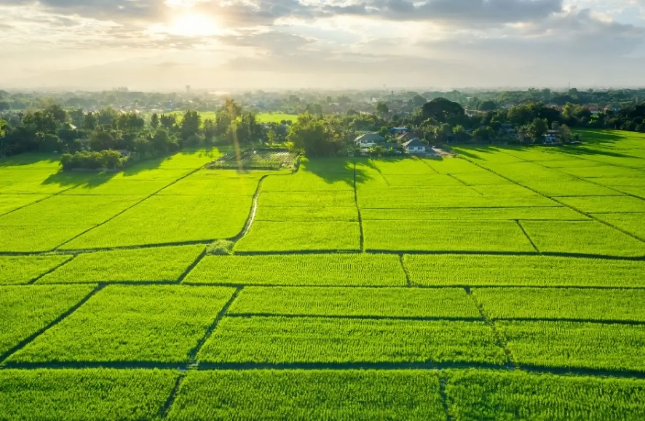 42 ilde 390 arsa satılıyor yetişen alacak 2
