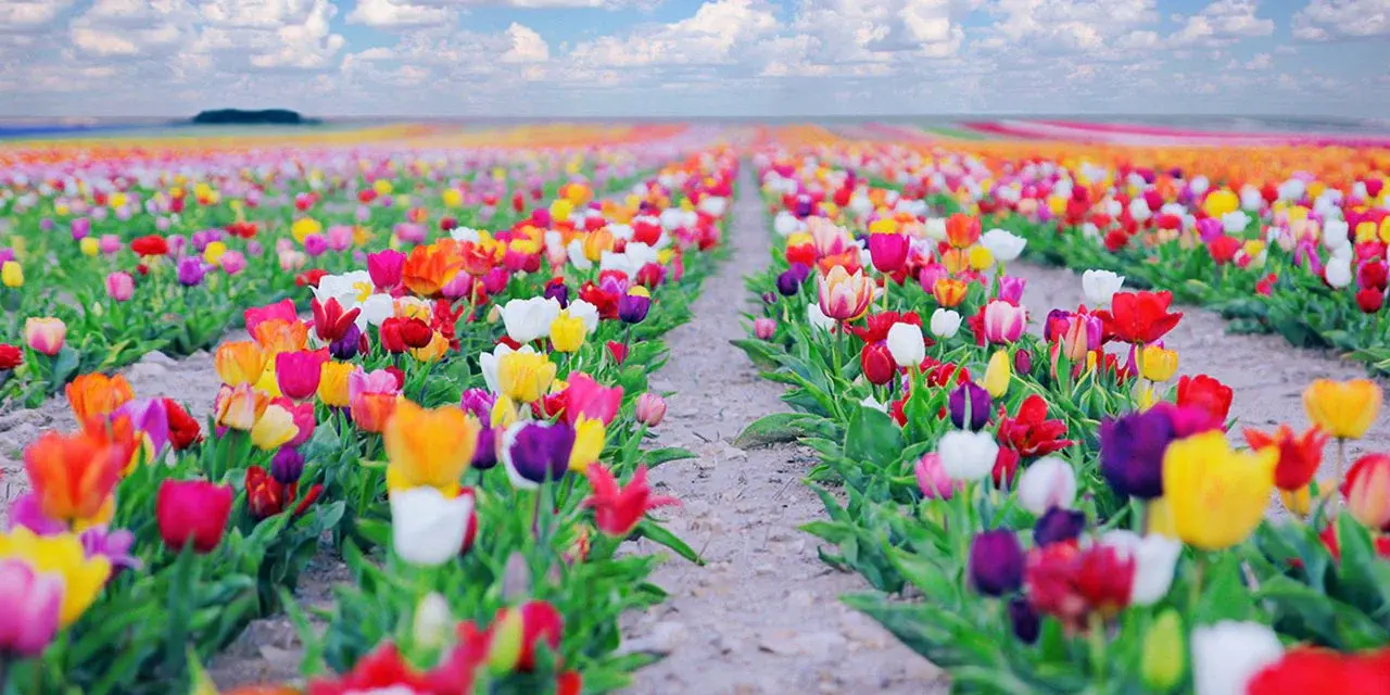 YHT turları bahçeye hazırlanıyor: Konya'ya 75 kilometre uzaklıkta 3