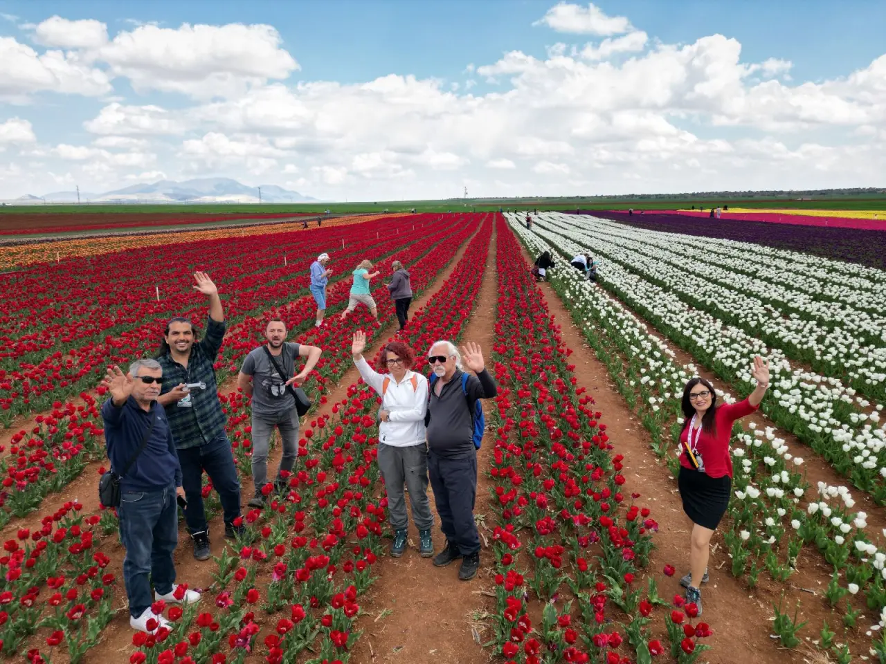 YHT turları bahçeye hazırlanıyor: Konya'ya 75 kilometre uzaklıkta 7