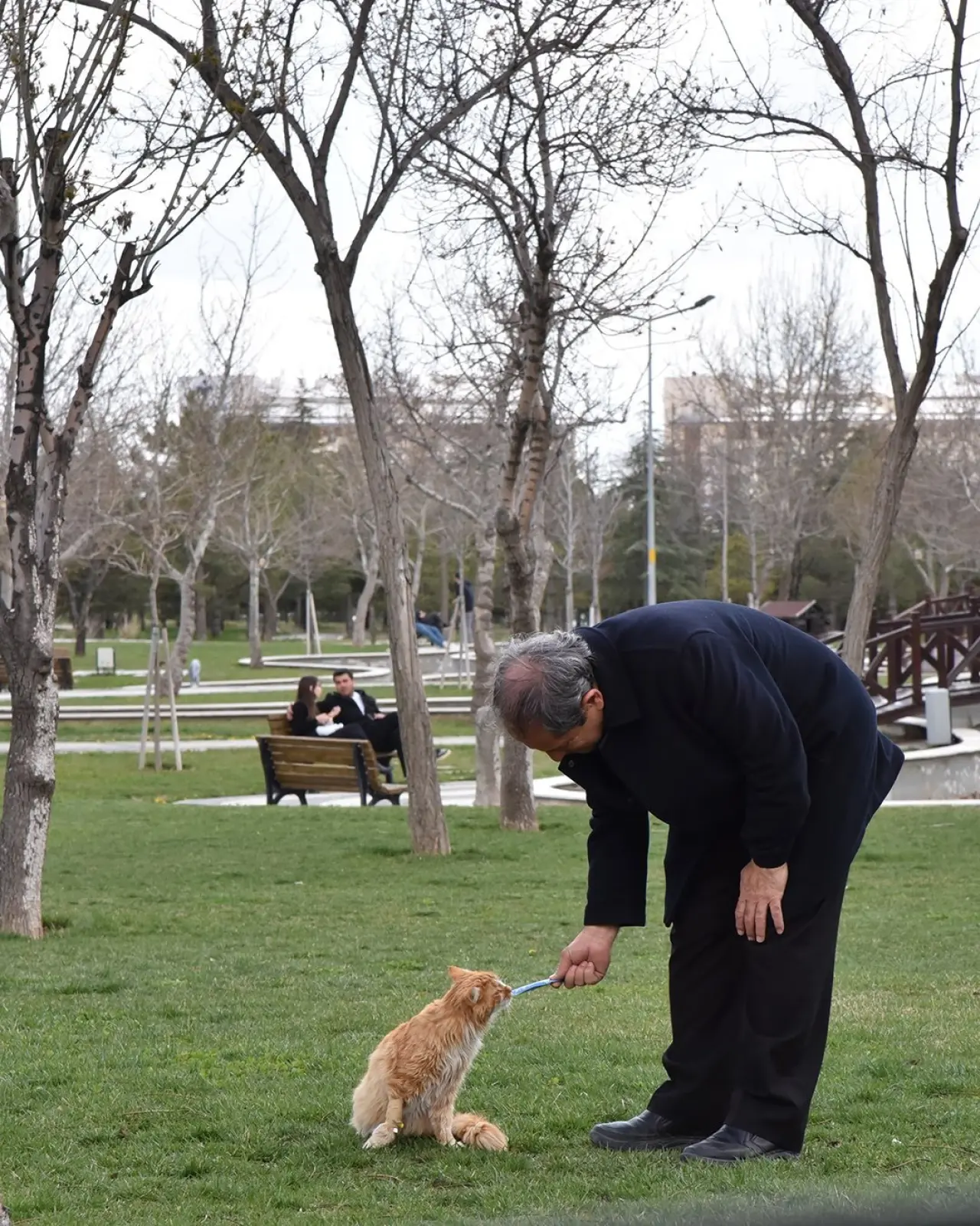 Konya’ya bahar geldi: Masalsı güzellikler ortaya çıktı 10