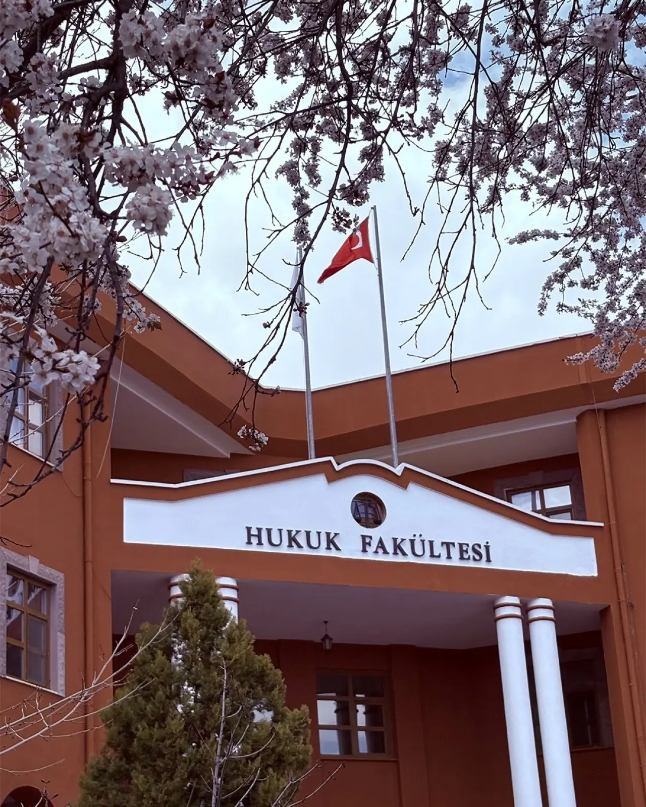 Konya’ya bahar geldi: Masalsı güzellikler ortaya çıktı 6