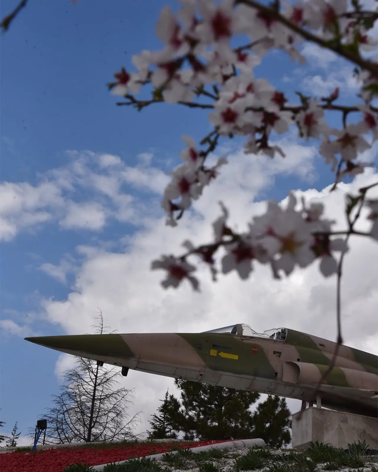 Konya’ya bahar geldi: Masalsı güzellikler ortaya çıktı 2