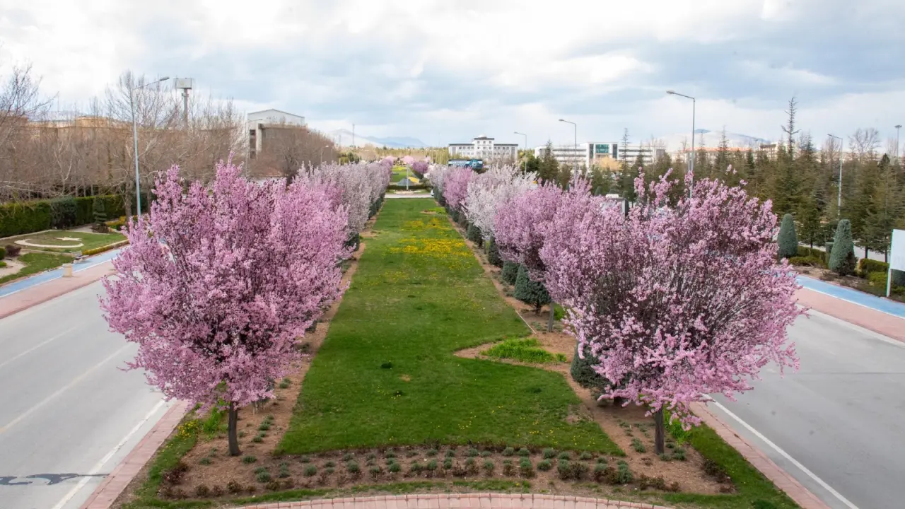 Konya’ya bahar geldi: Masalsı güzellikler ortaya çıktı 15