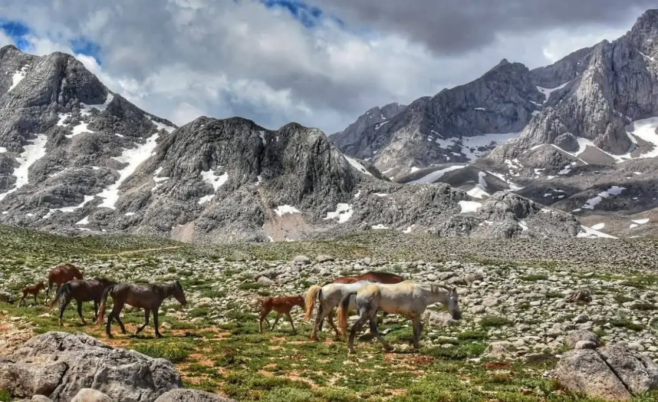 Konya'nın özgürlük simgesi: Toros Dağlarında dört nala koşuyorlar 4