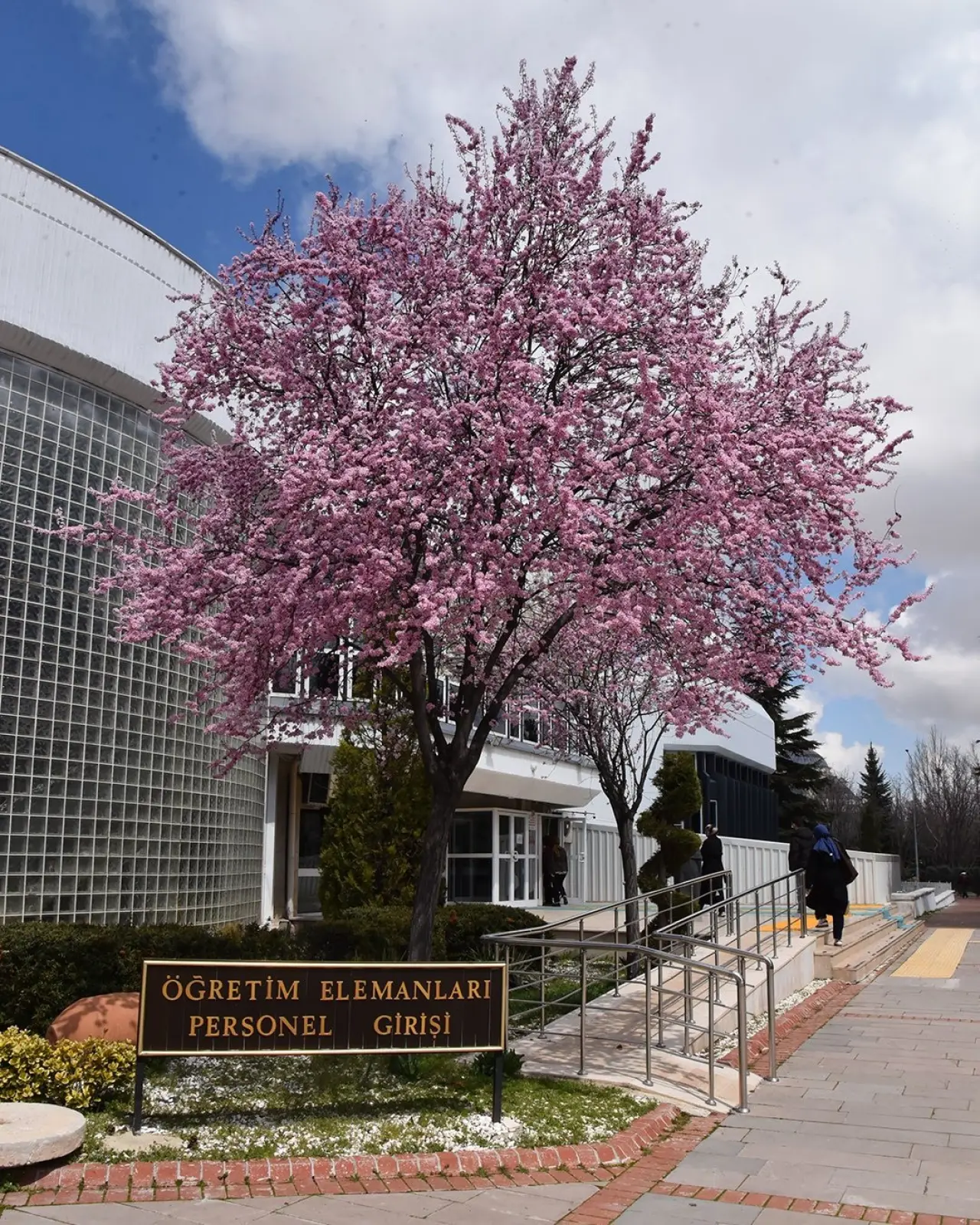Konya’ya bahar geldi: Masalsı güzellikler ortaya çıktı 12