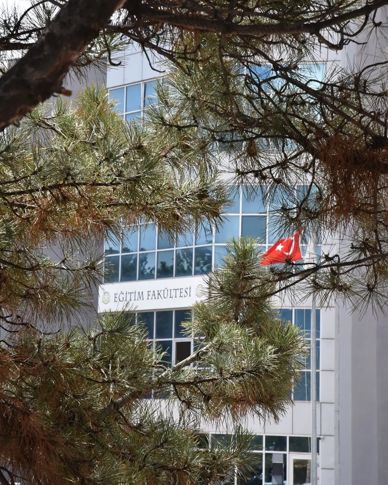 Konya’ya bahar geldi: Masalsı güzellikler ortaya çıktı 8