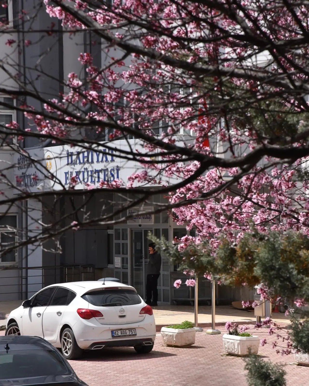 Konya’ya bahar geldi: Masalsı güzellikler ortaya çıktı 7