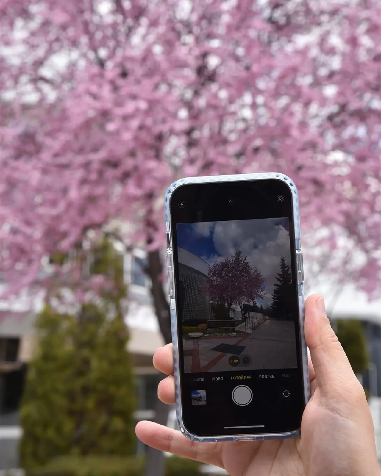 Konya’ya bahar geldi: Masalsı güzellikler ortaya çıktı 11