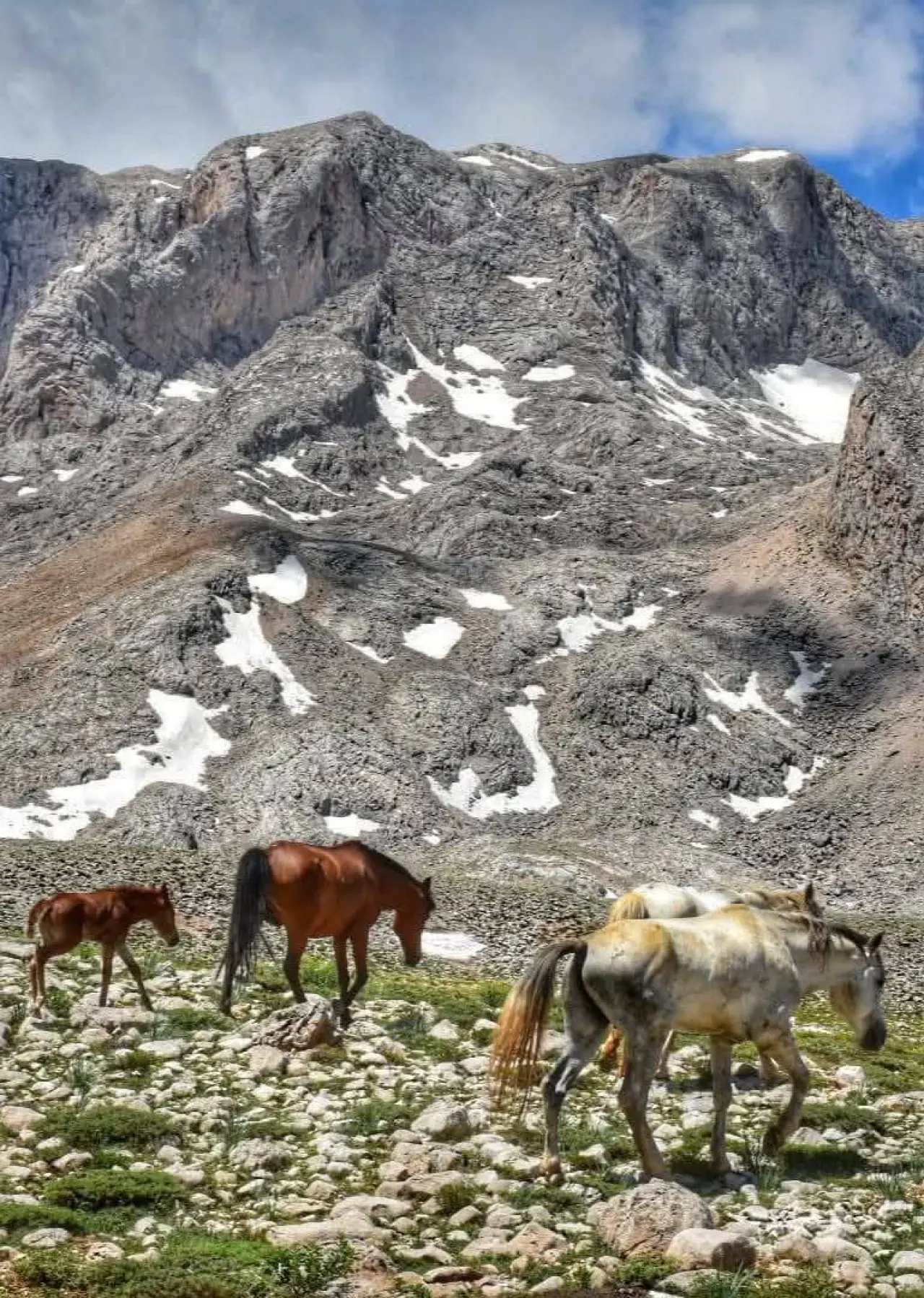 Konya'nın özgürlük simgesi: Toros Dağlarında dört nala koşuyorlar 11