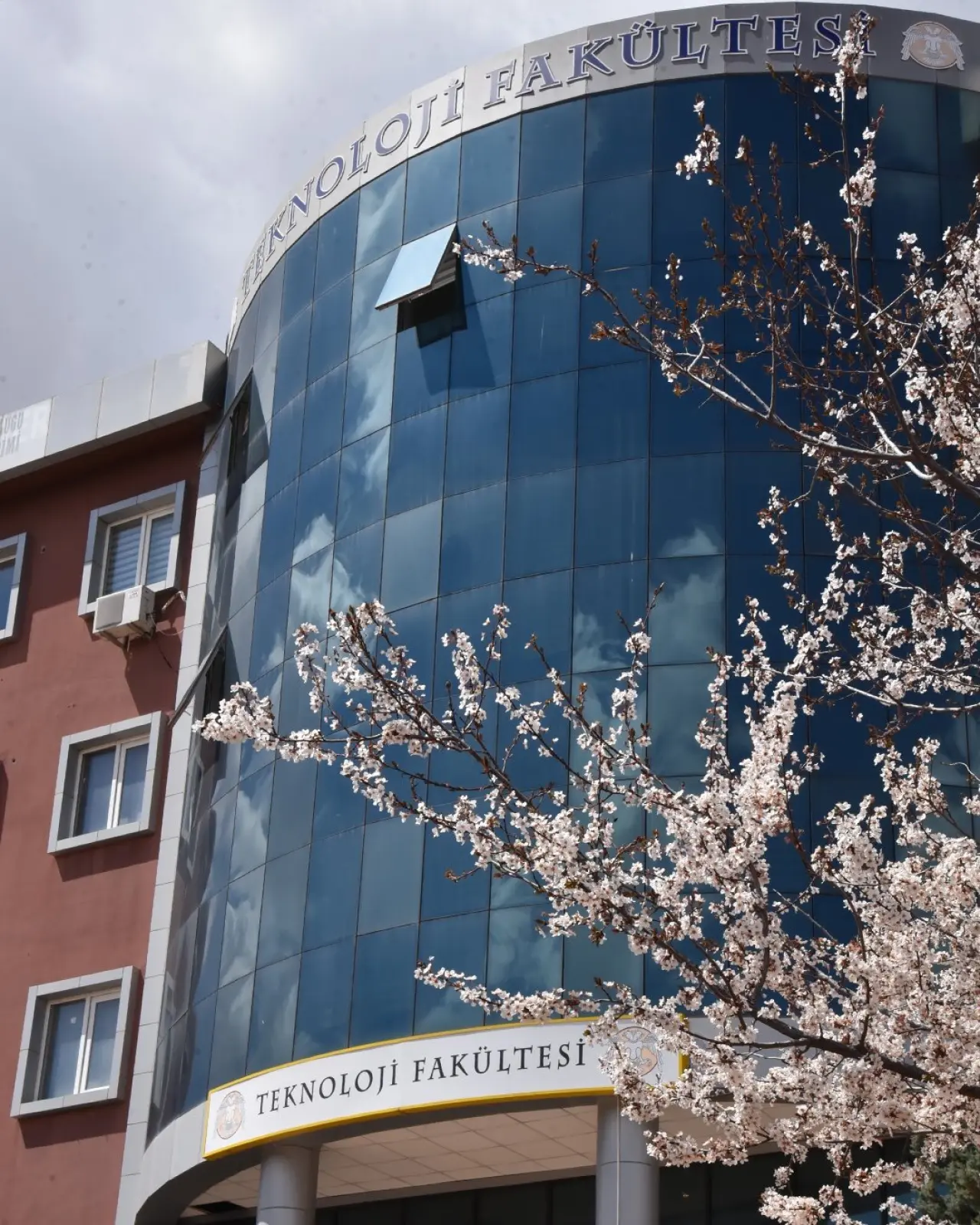 Konya’ya bahar geldi: Masalsı güzellikler ortaya çıktı 3