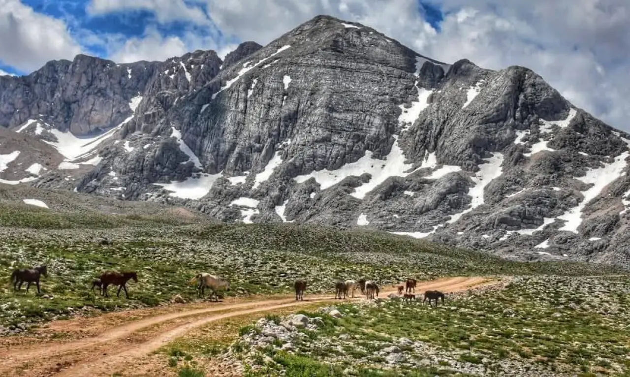 Konya'nın özgürlük simgesi: Toros Dağlarında dört nala koşuyorlar 10