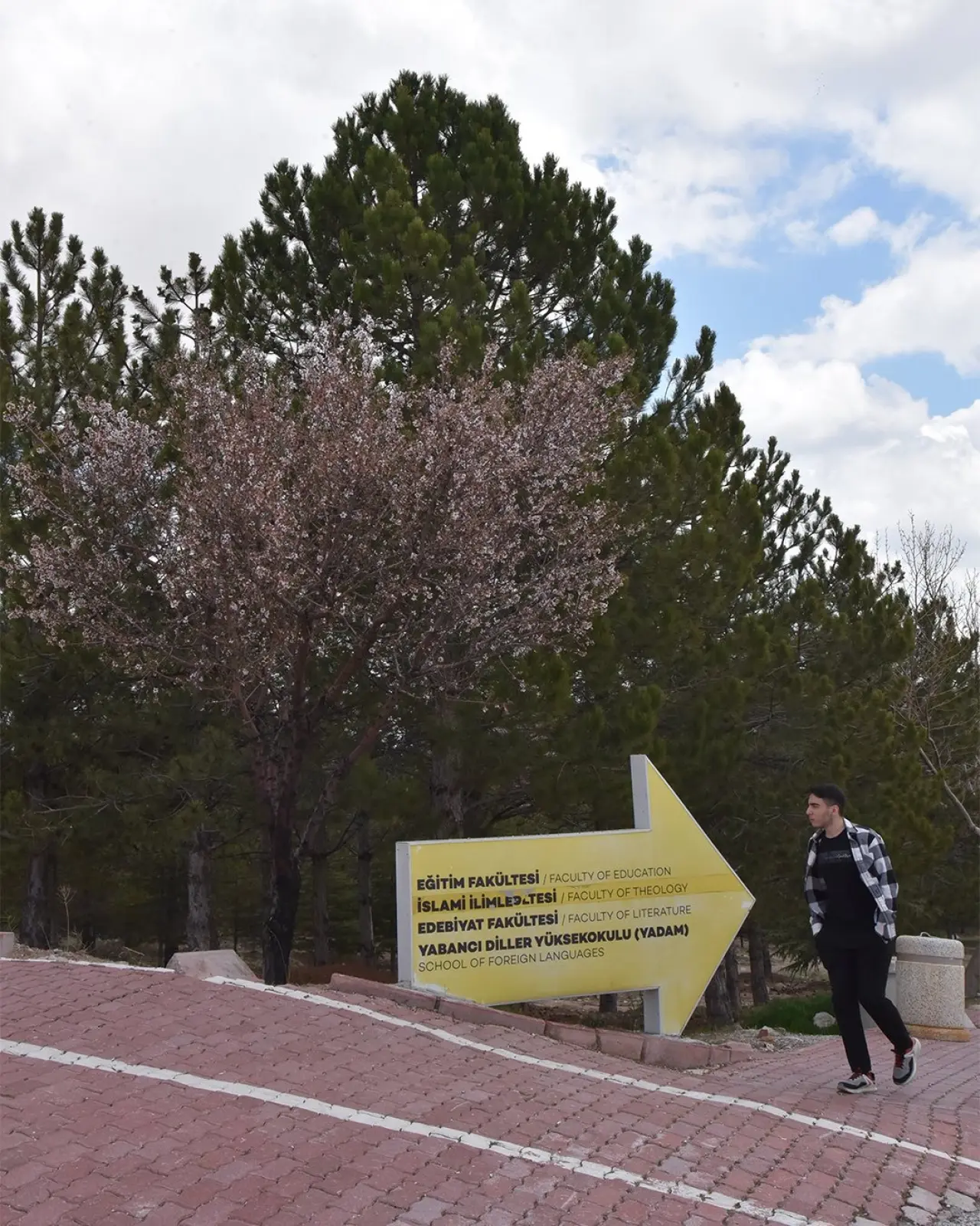 Konya’ya bahar geldi: Masalsı güzellikler ortaya çıktı 4