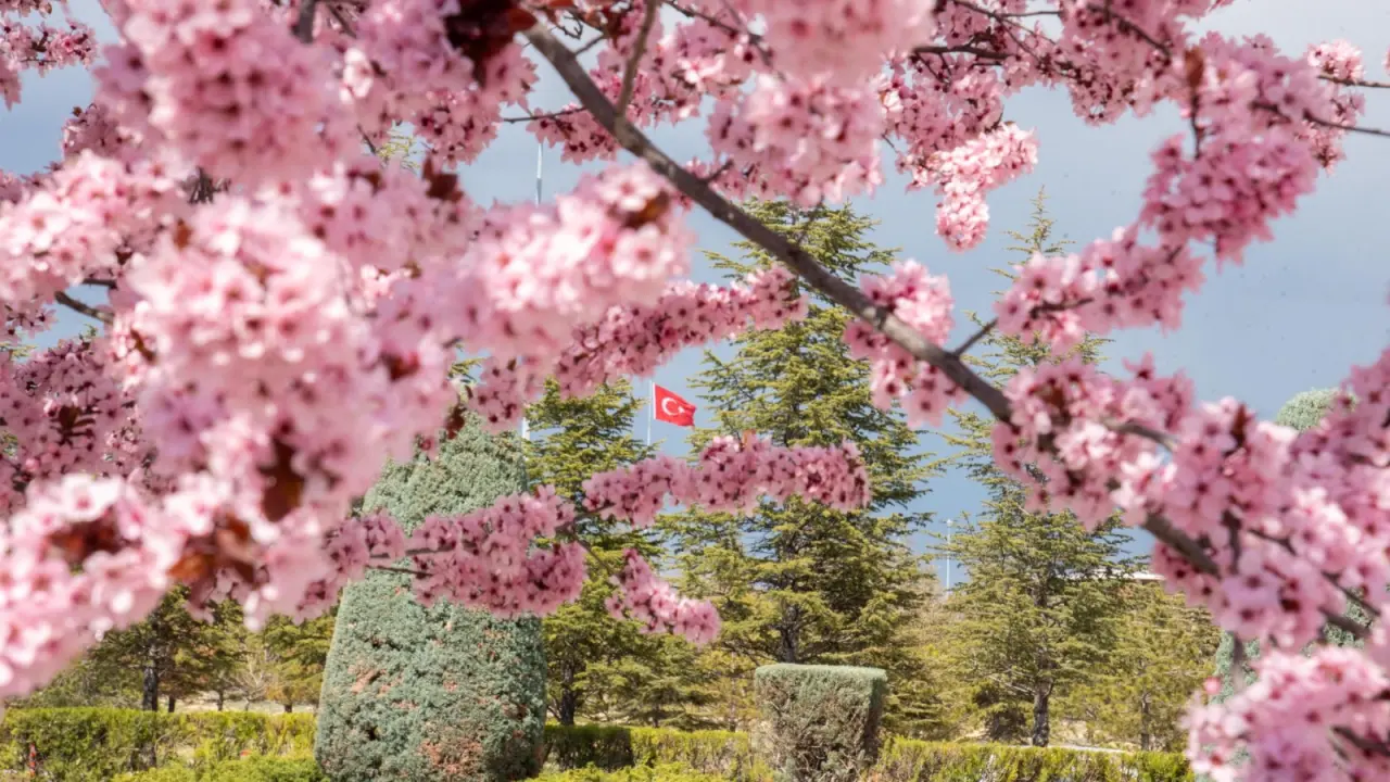 Konya’ya bahar geldi: Masalsı güzellikler ortaya çıktı 21
