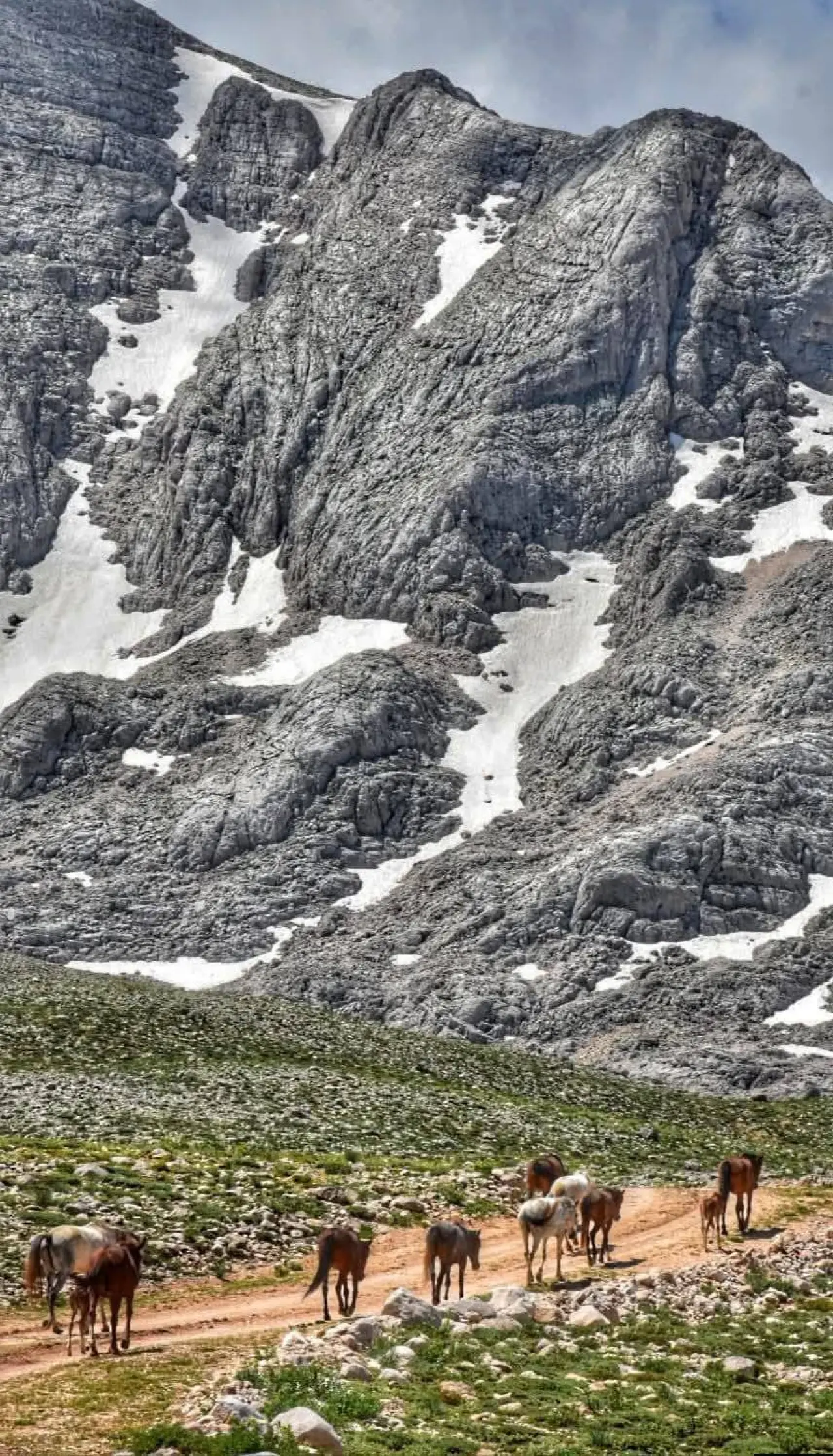 Konya'nın özgürlük simgesi: Toros Dağlarında dört nala koşuyorlar 9