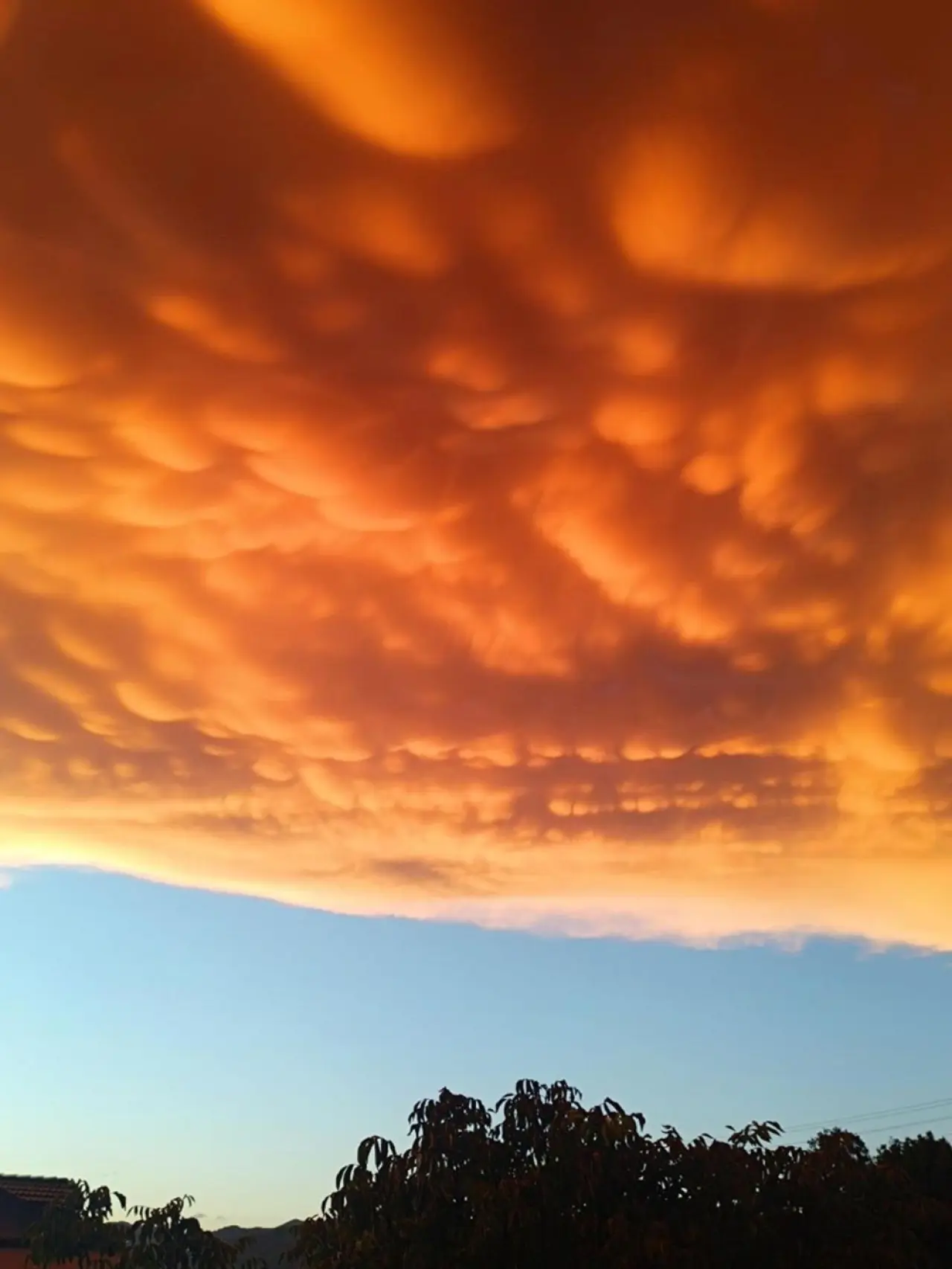 Muğla'da sağanak sonrası Mammatus bulutları görüldü - 5