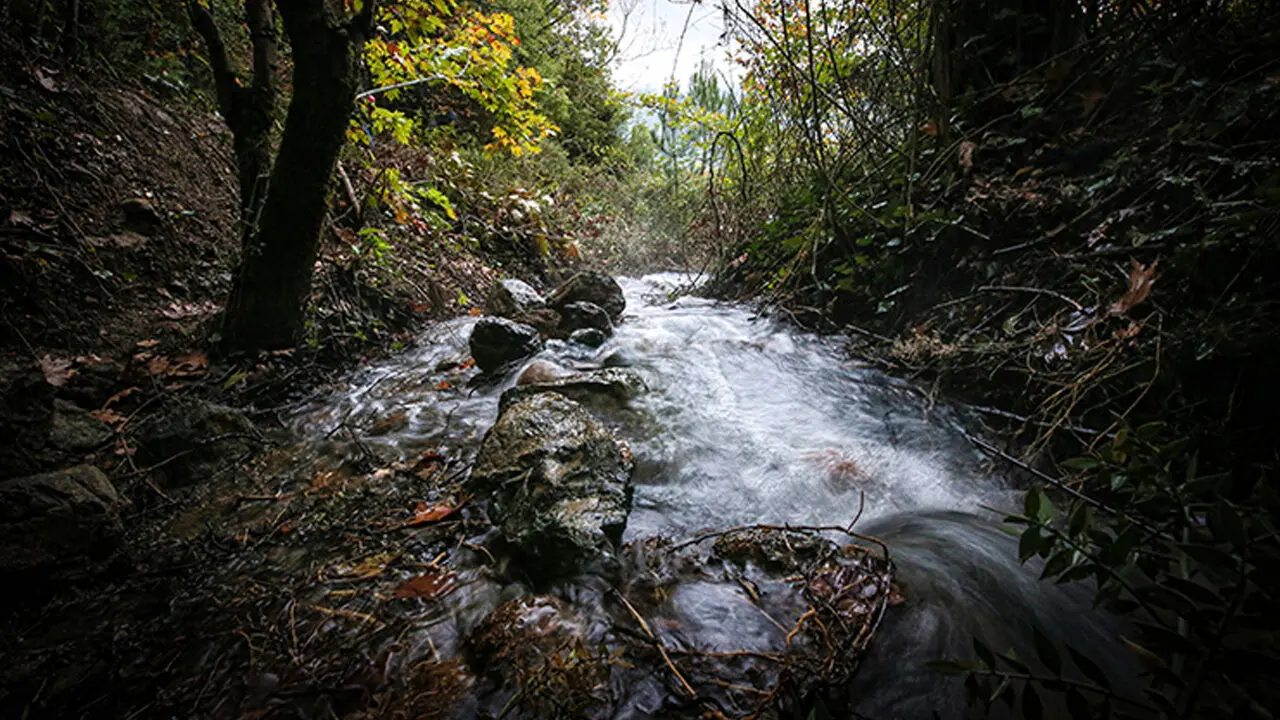 Deprem kuruyan pınarı uyandırdı! Su kaynağı yeniden canlandı - 1. Resim