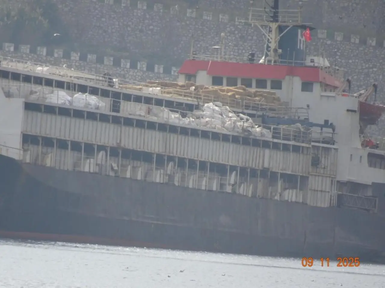 Uruguay'dan Bandırma'ya gelen gemide kriz! Koku ilçeyi kapladı, hayvanlar mahsur kaldı - 3. Resim