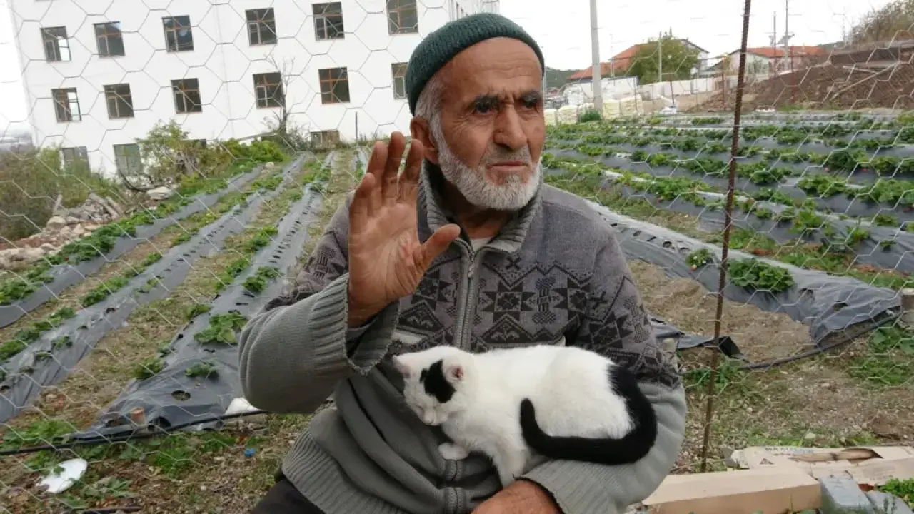 85 yaşındaki İbrahim dede bahçesindeki her şeyi ücretsiz dağıtıyor: ''Malım herkese helaldir'' 3
