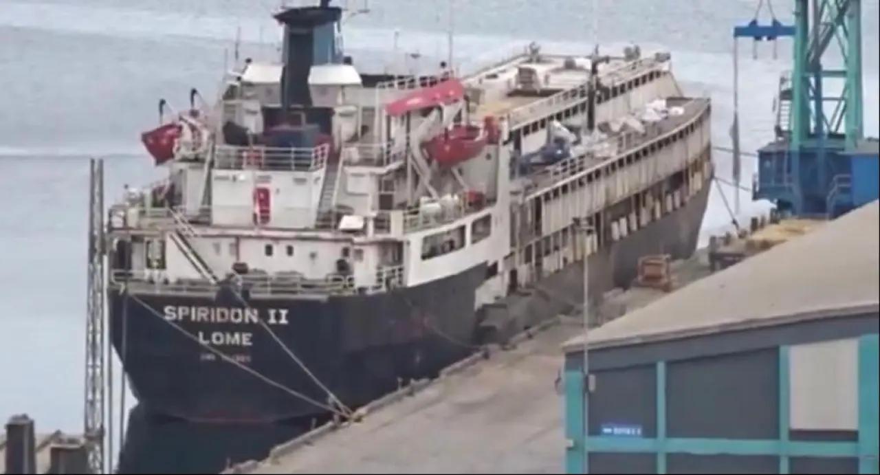 Uruguay'dan Bandırma'ya gelen gemide kriz! Koku ilçeyi kapladı, hayvanlar mahsur kaldı - 2. Resim