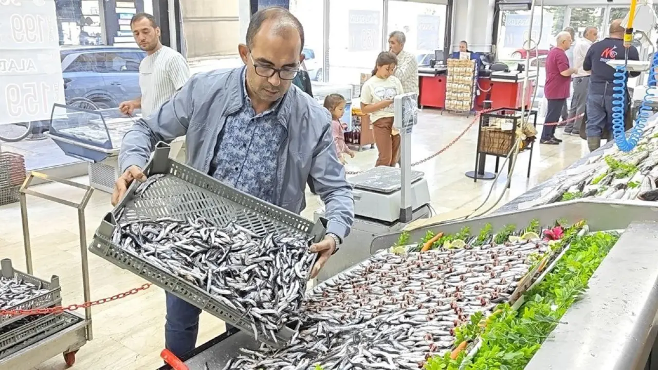 Tezgahlar şenlendi: 30'dan fazla çeşit balık var - 1