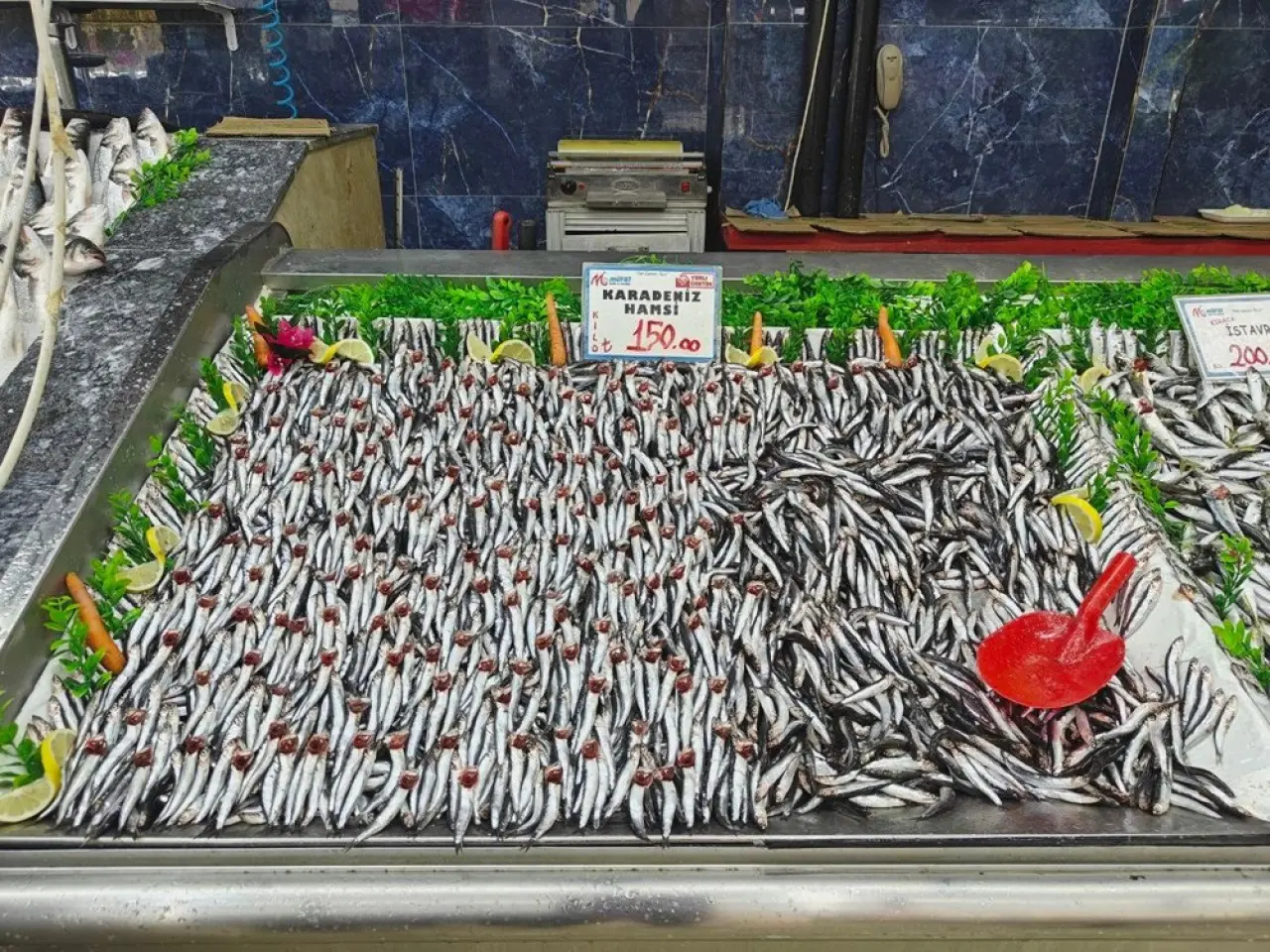 Tezgahlar şenlendi: 30'dan fazla çeşit balık var - 3