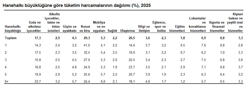 TÜİK: Vatandaşın bütçesinde en büyük yük yine konut ve kirada! - Resim : 4