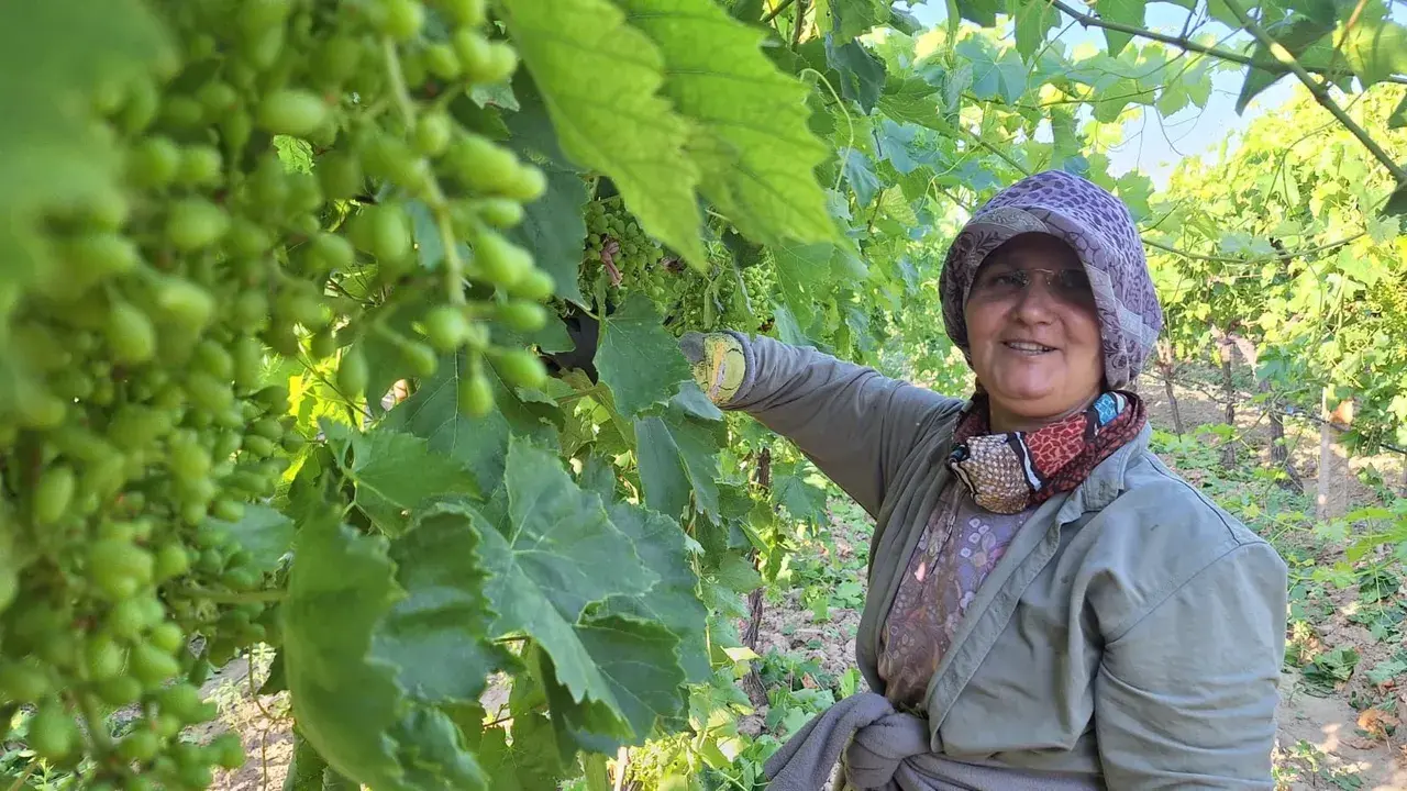 İşçilik maliyeti sıfırlandı! Yevmiye 1.425 lira olunca, imece usulüne döndüler