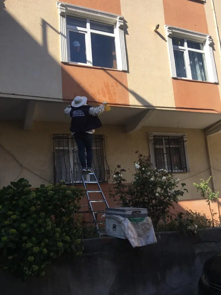 Arılar apartman duvarına yuva yaptı - İstanbul Haberleri