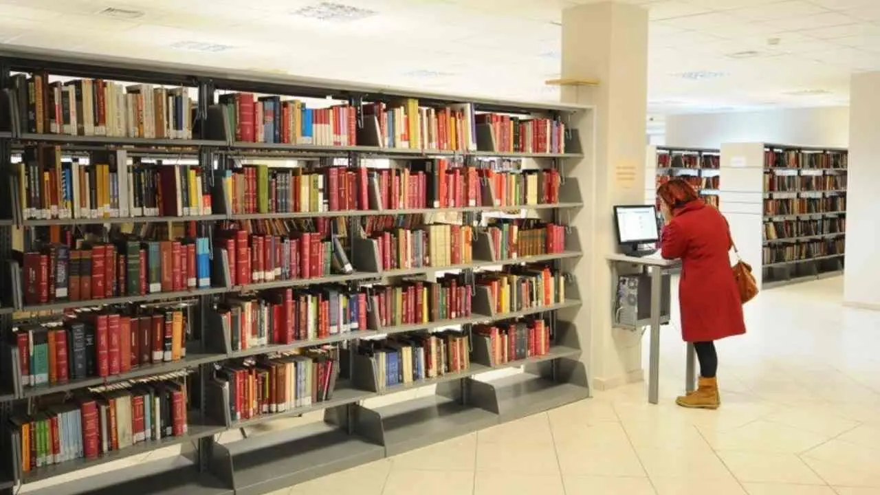 LGS puan ortalamasına göre İstanbul'un en iyi 22 lisesi! İlk dört 500 taban puana sahip - Sayfa 5