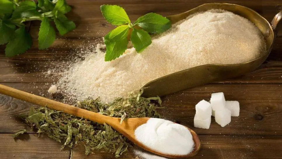 Şeker otu Stevia nedir? Doğal veya yapay tatlandırıcılar, sağlıklı bir  alternatif midir? | Prof. Dr. Mustafa ÖZDOĞAN