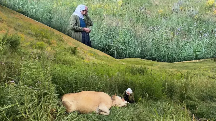 200 metrelik uçurumda yürek yakan gözyaşı. 7 çocuk annesinin tek geçim kaynağıydı