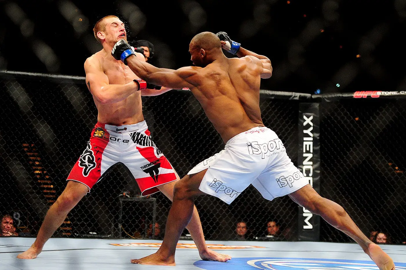 MMA Nedir? MMA Sporu Hakkında Bilgiler | by siyahkusakcomtr | Medium