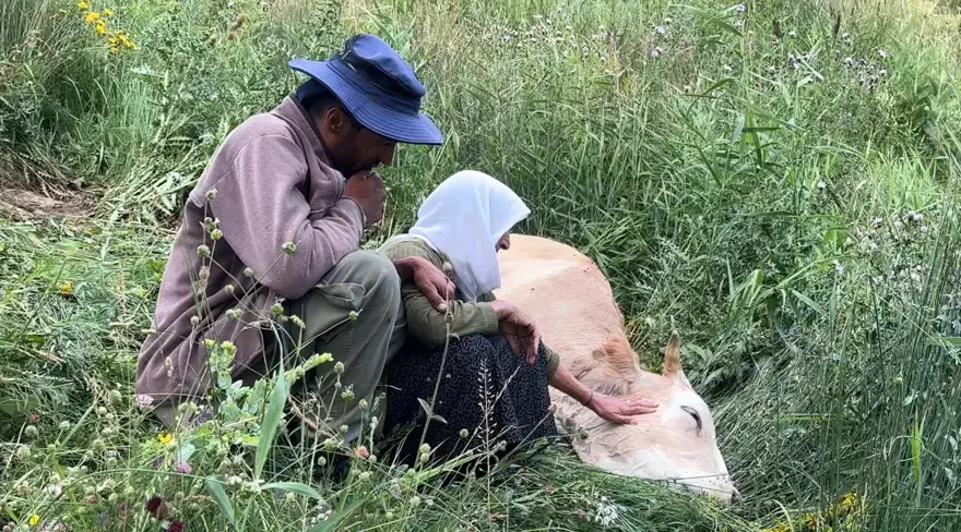"DÜNYAM BAŞIMA YIKILDI" 1