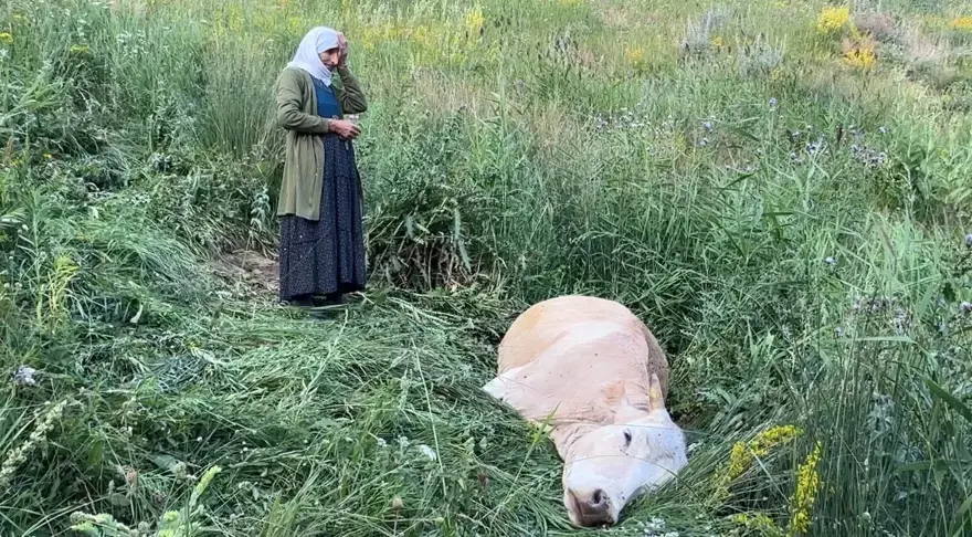 "ÇOCUĞUMUZUN SÜTÜ BİLE KESİLDİ" 2