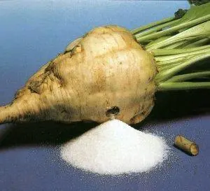 pancar.jpg
