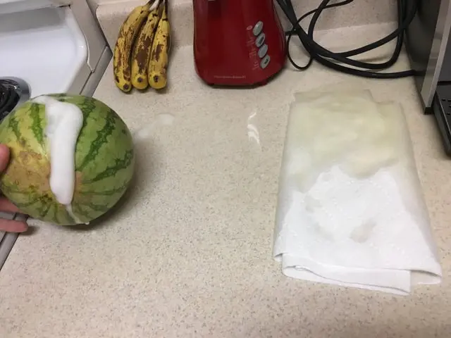 r/mildlyinteresting - Karpuzum kesilmeden köpürmeye ve sızmaya başladı.