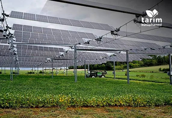 Tarım ve Enerjinin kesiştiği Agrivoltaik Tarım Nedir?