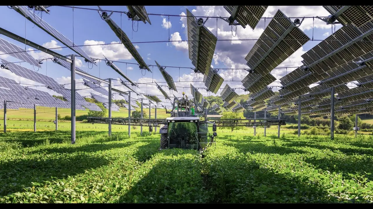 Agrivoltaik Tarım Çalışma Sistemi Nedir? - bilimUP