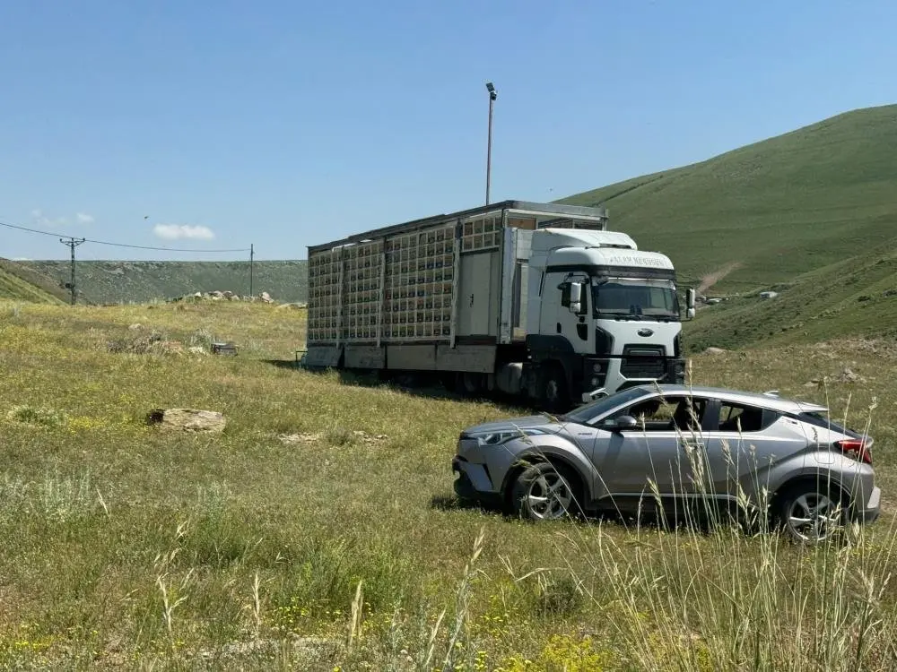 Dünyada nadir, Türkiye'de ilk! Kars'ta Türkiye'nin en büyük mobil arı üretim üssü kuruldu