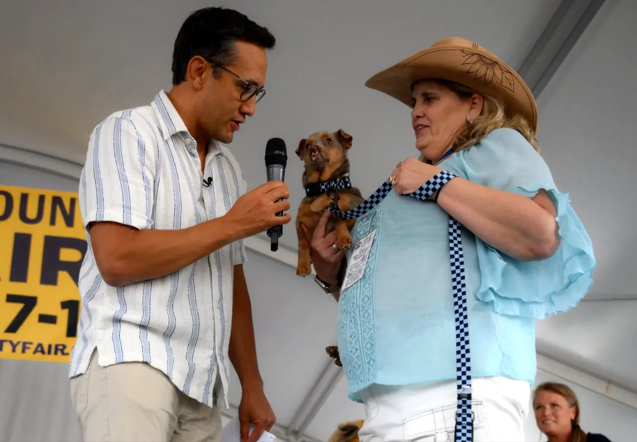 Dünyanın en çirkin köpeği belli oldu! Zirvenin sahibi tacı kaptı, görenleri şaşırttı