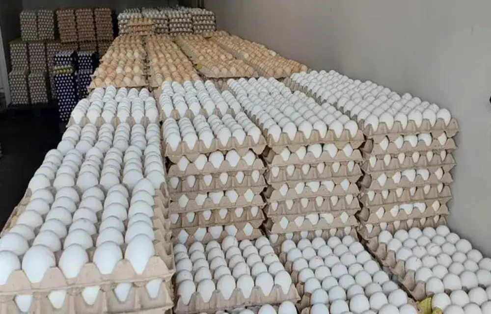 Konya'da 100 liraya 1 koli yumurta satışı başladı!
