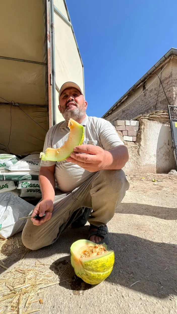 Konya'da ata tohumu ile yetişiyor, paha biçilmediği için satılmıyor