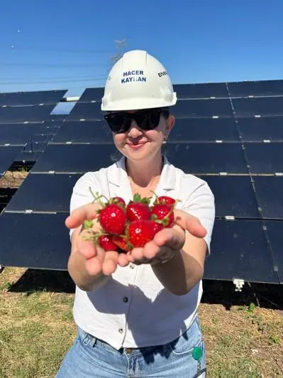 Enerjisa Üretim Agrivoltaik tarım uygulamaları ile 5 ton hasat yaptı - Son Dakika Ekonomi Habeleri