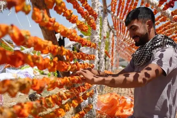 Gaziantep'te Kurutmalık Sebze Sezonu Başladı - Doğuş Haber Ajansı