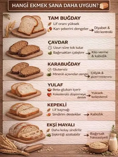 🍞 Hangi ekmek daha sağlıklı? Bilim ne diyor? Ekmek seçimi sadece “beyaz mı  tam buğday mı?” meselesi değil. İçeriğindeki lif, fermentasyon süreci ve  glisemik etkisi sağlık üzerinde ciddi fark oluşturur. 🔬 Tam