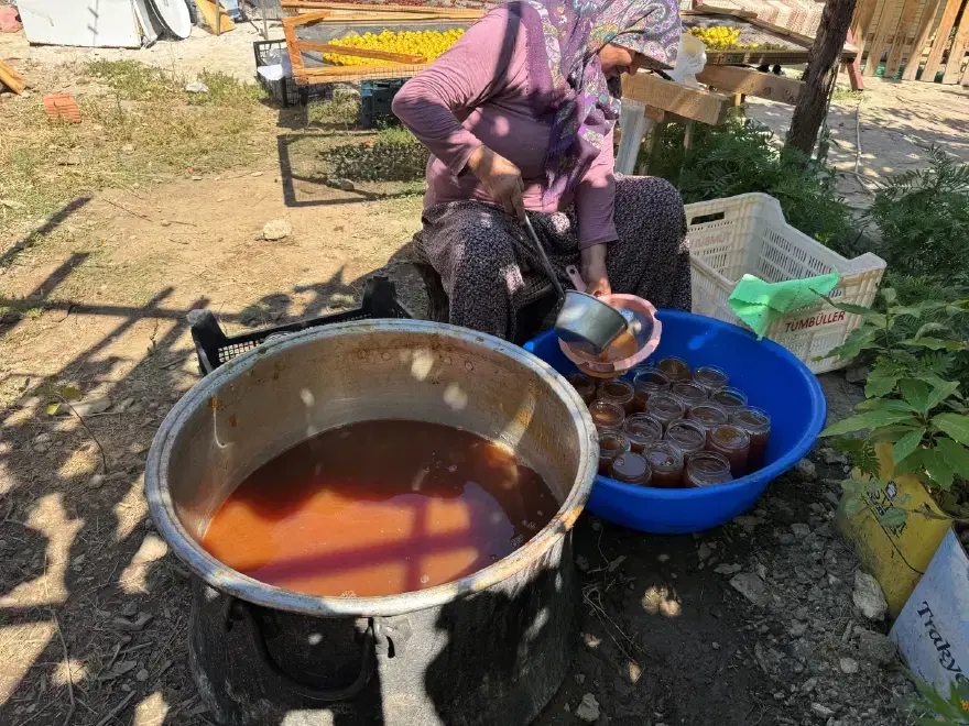 TAŞ ERİK, TARHANIN DA TEMEL MALZEMESİ 3