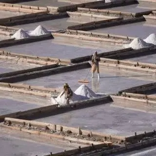 Türkiye'nin tuz ihtiyacının %70'ini karşıyakan Tuz Gölü'nde tuz hasadı bu şekilde yapılıyor.