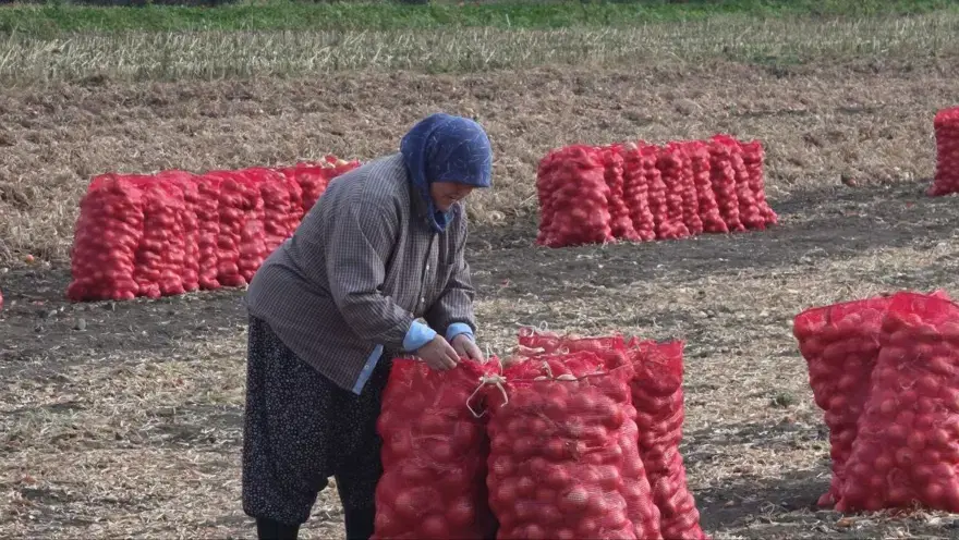 "SOĞAN HAYATIN TADI GİBİ" 2