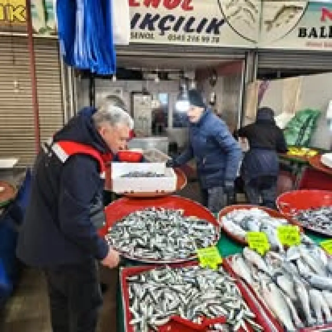 hamsi ve yazı görseli olabilir