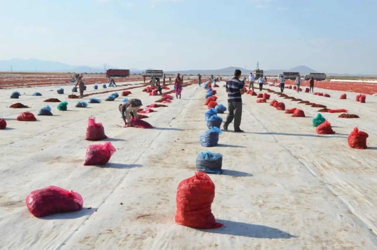 Fotoğraf açıklaması yok.